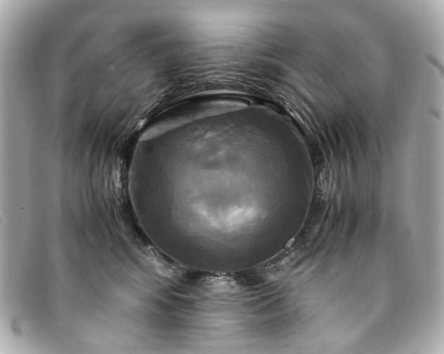 X0000094220424200710261233