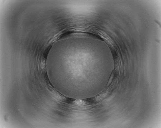 X0000094220425200710261233