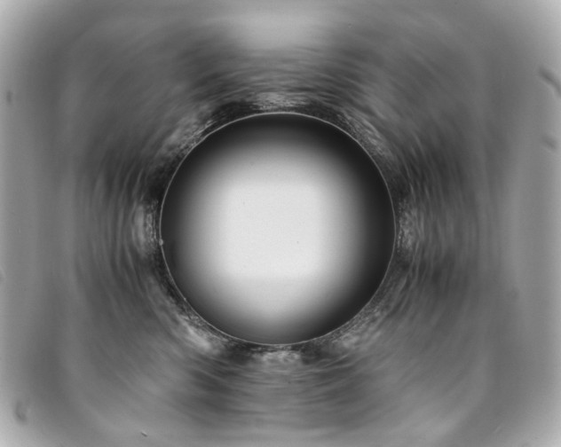 X0000094220426200710261233