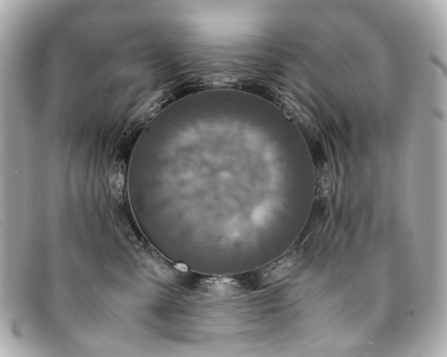 X0000094220427200710261233