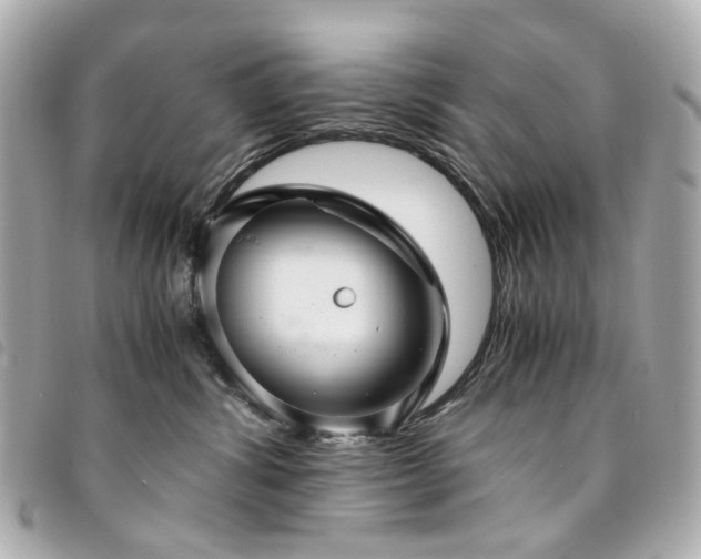 X0000094220428200710261233