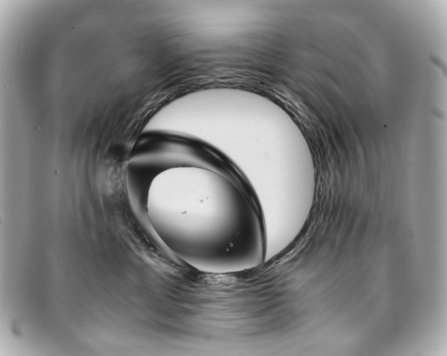 X0000094220429200710261233