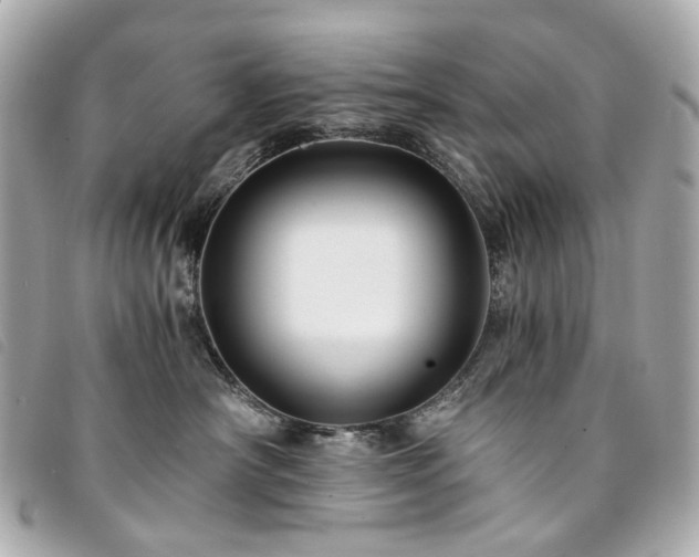 X0000094220430200710261233