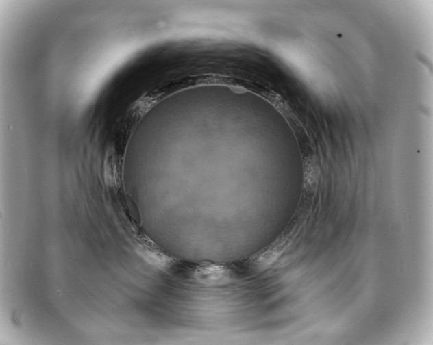 X0000094220431200710261233