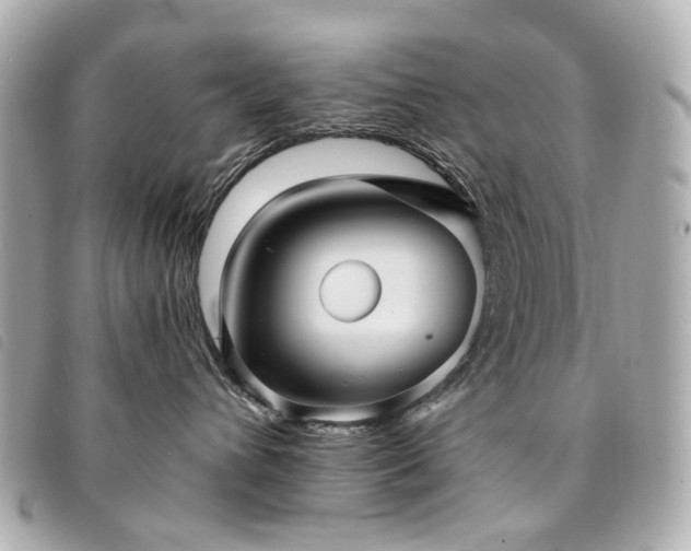 X0000094220432200710261233