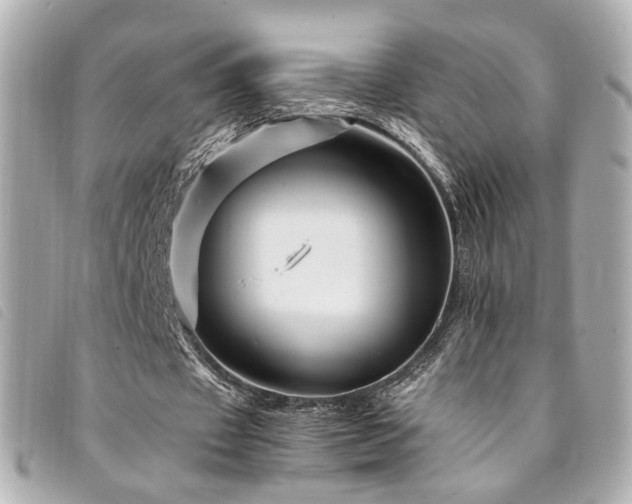 X0000094220433200710261233