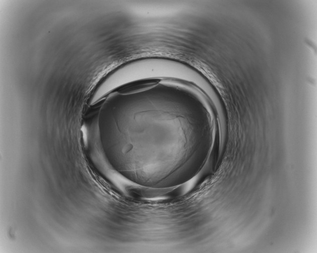 X0000094220434200710261233