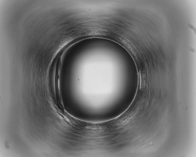 X0000094220435200710261233