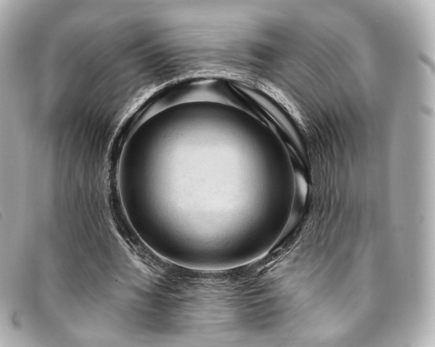 X0000094220436200710261233