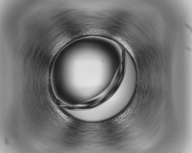 X0000094220437200710261233