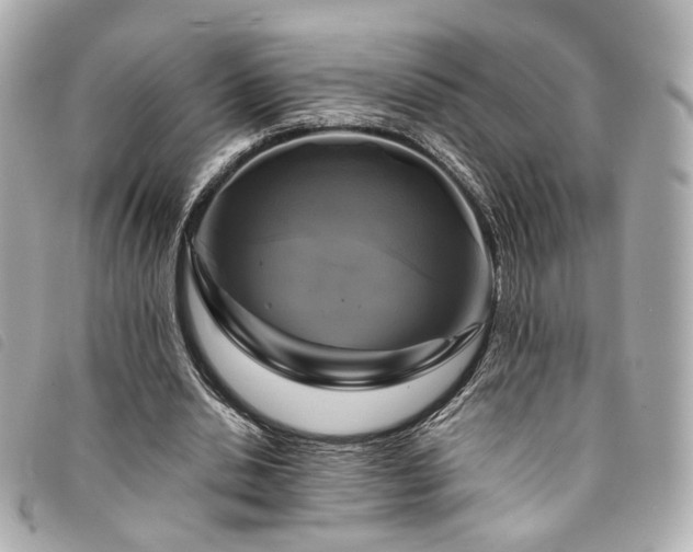 X0000094220438200710261233