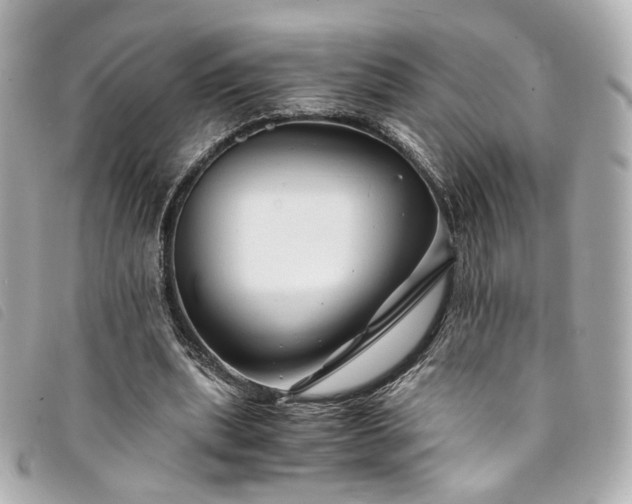 X0000094220439200710261233