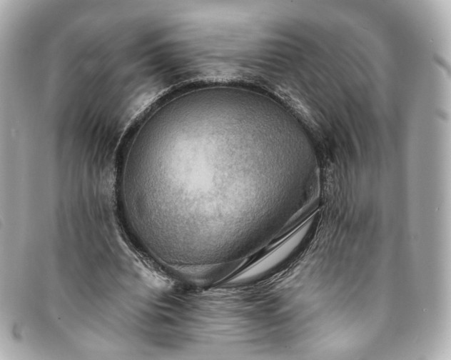 X0000094220440200710261233