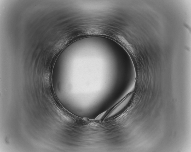 X0000094220441200710261233