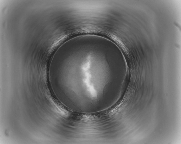 X0000094220442200710261233