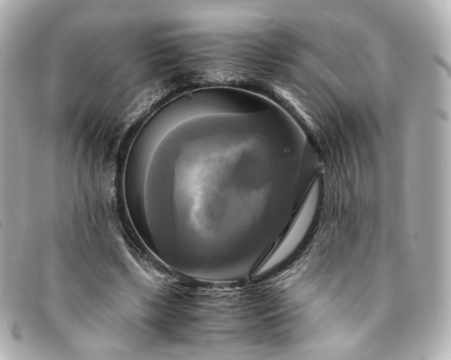 X0000094220443200710261233