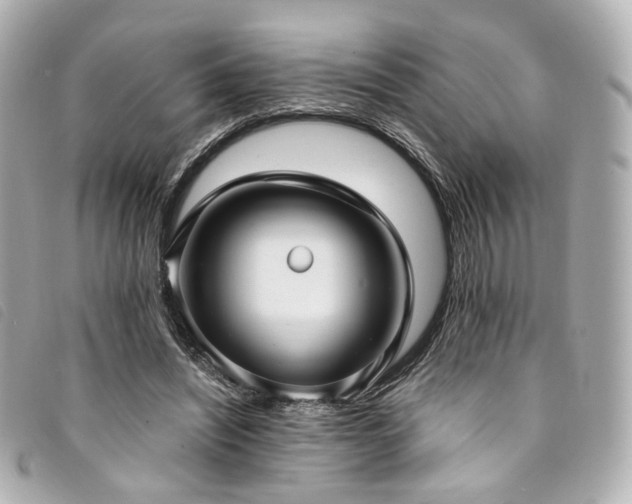 X0000094220444200710261233