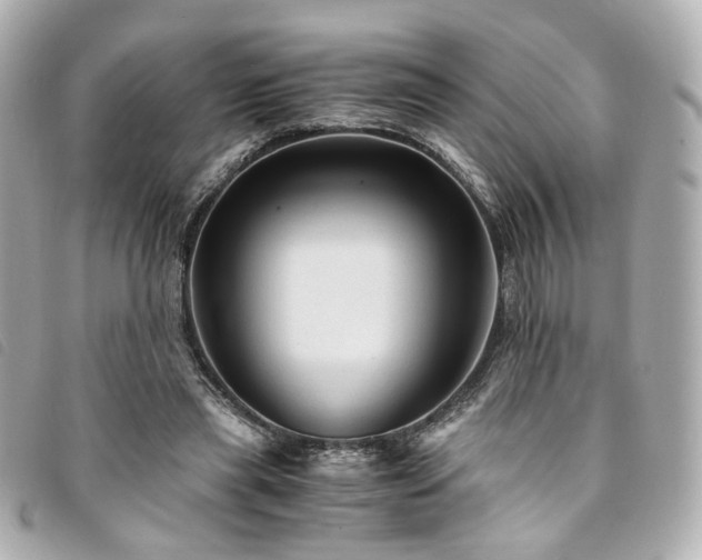 X0000094220445200710261233