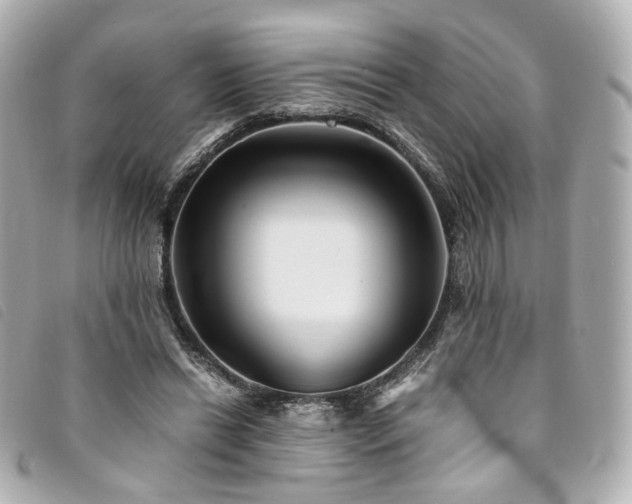 X0000094220446200710261233