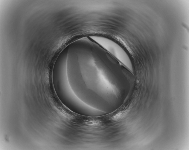 X0000094220447200710261233