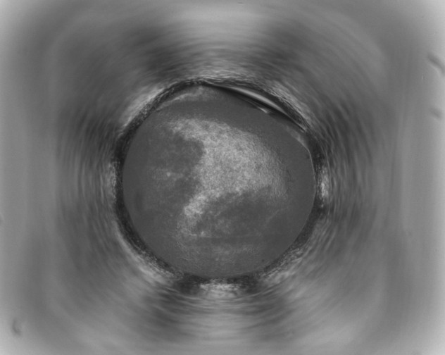 X0000094220448200710261233