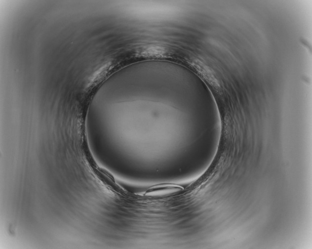 X0000094220449200710261233