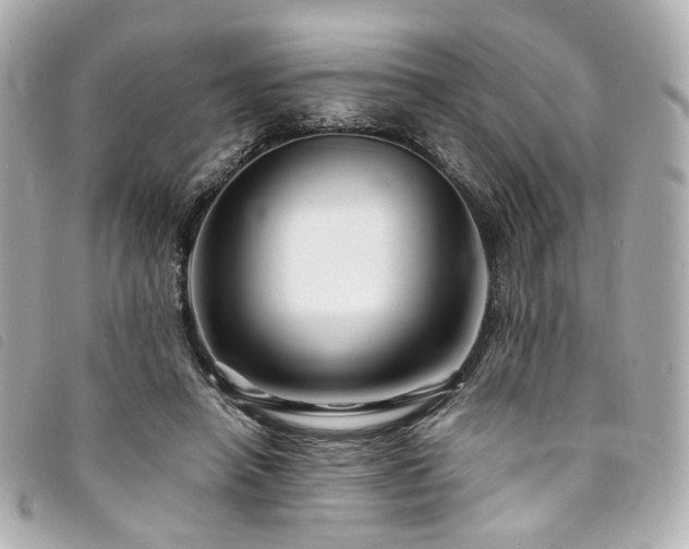 X0000094220450200710261233