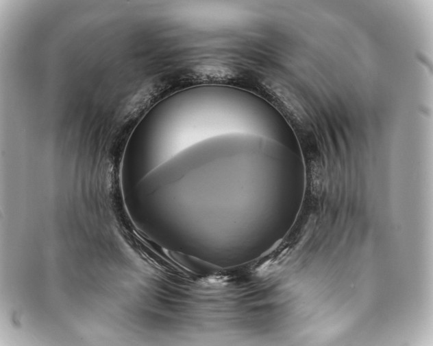 X0000094220451200710261233