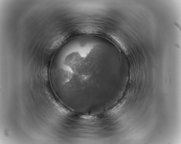 X0000094220453200710261233