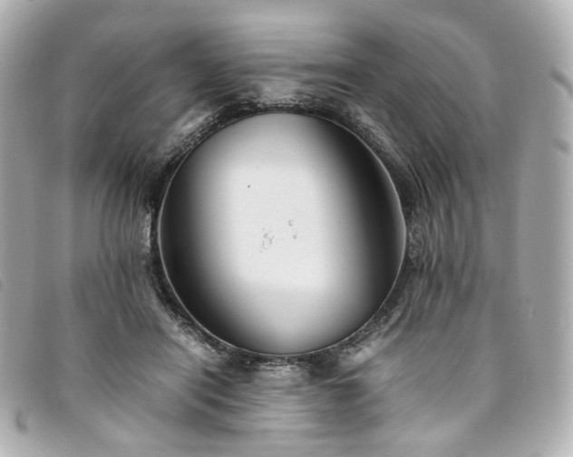 X0000094220454200710261233