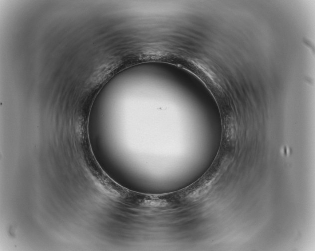 X0000094220455200710261233