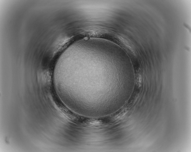 X0000094220456200710261233