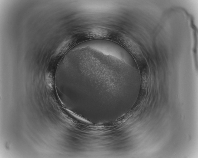 X0000094220457200710261233