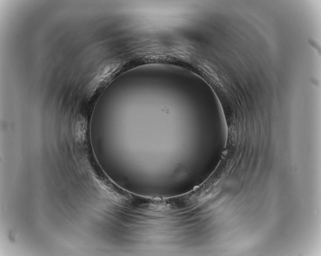 X0000094220458200710261233