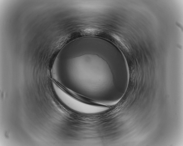 X0000094220459200710261233