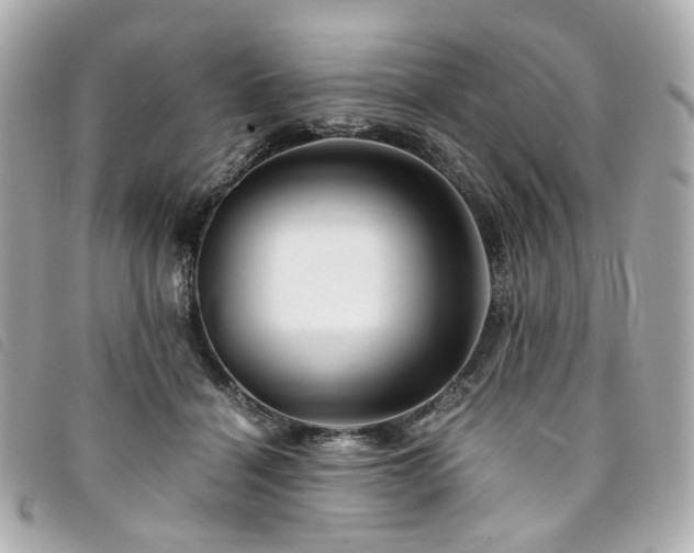 X0000094220460200710261233