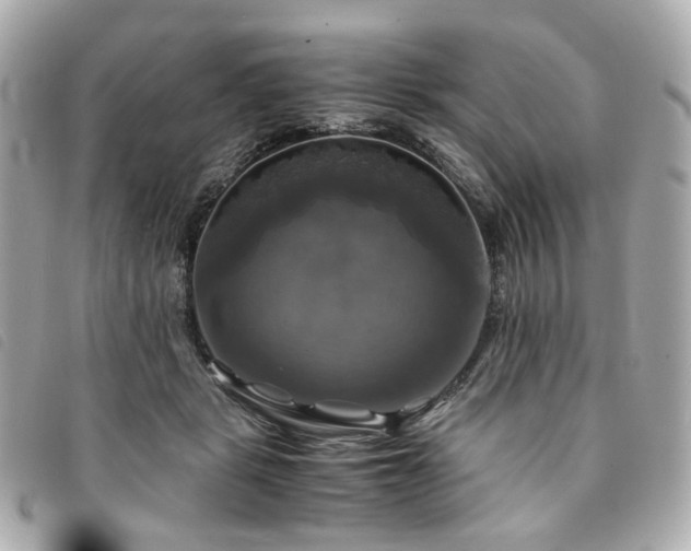 X0000094220461200710261233