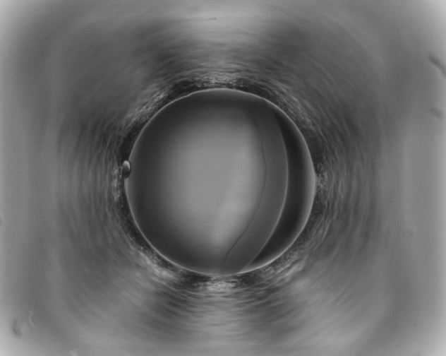 X0000094220462200710261233