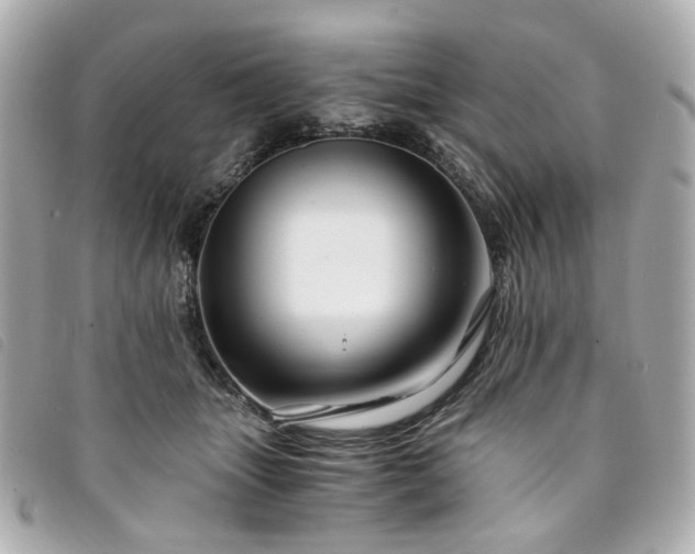 X0000094220463200710261233