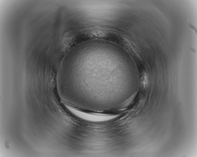 X0000094220464200710261233