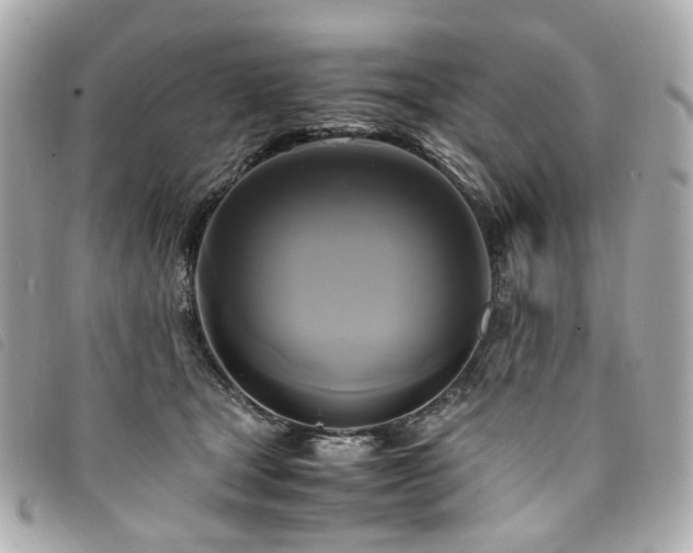 X0000094220465200710261233