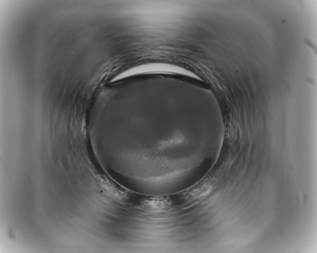 X0000094220466200710261233