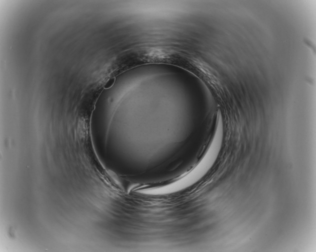 X0000094220467200710261233