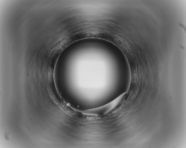 X0000094220468200710261233