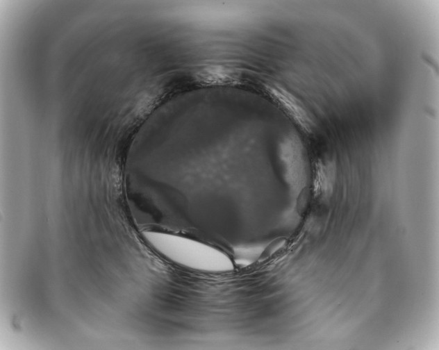 X0000094220469200710261233