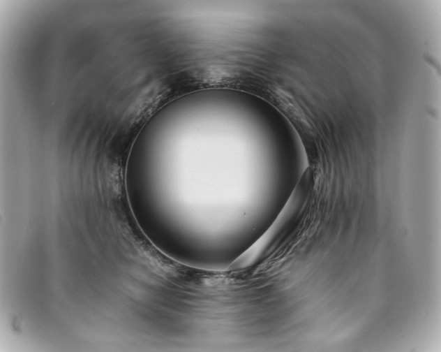 X0000094220470200710261233