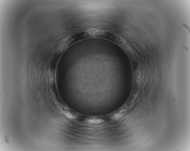 X0000094220471200710261233