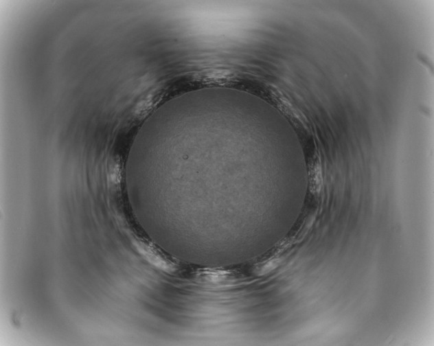 X0000094220472200710261233