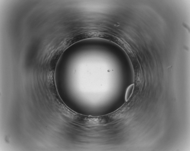 X0000094220473200710261233