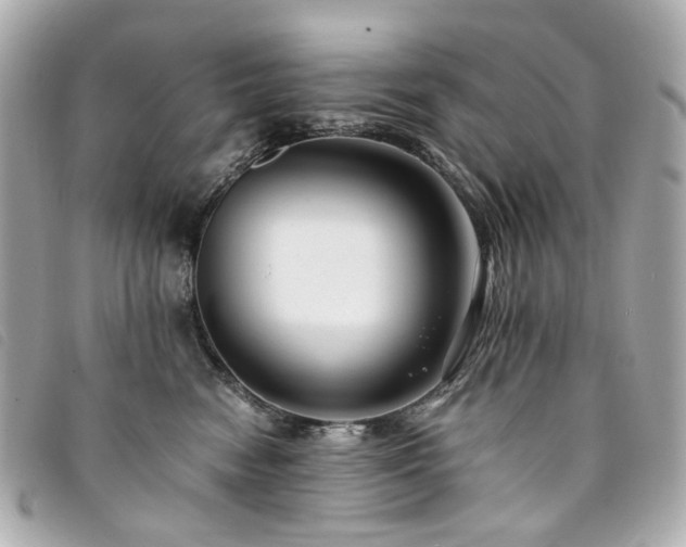 X0000094220474200710261233